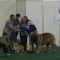 Salzburg Clubschau Mai 06 171 